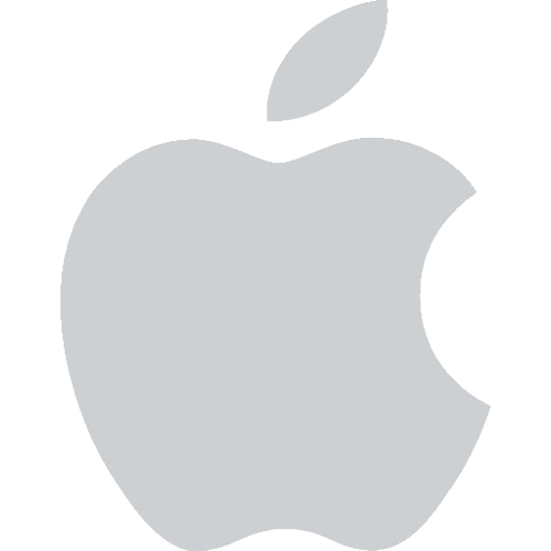 Transport Button Icon